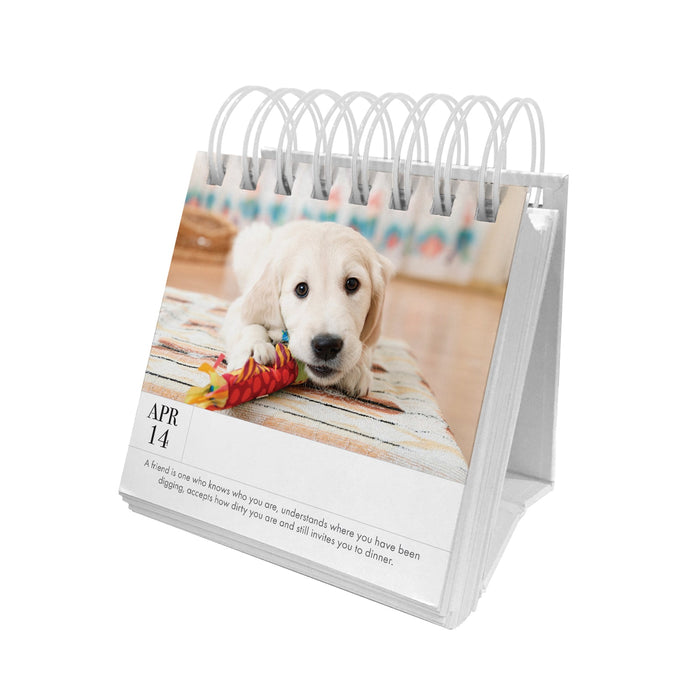 Puppy Perpetual Desk Calendar