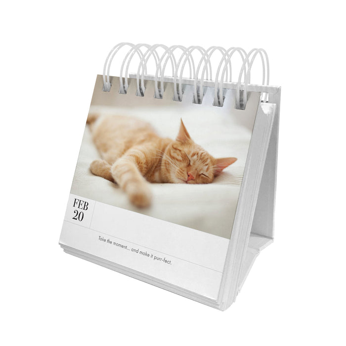 Puppy Perpetual Desk Calendar