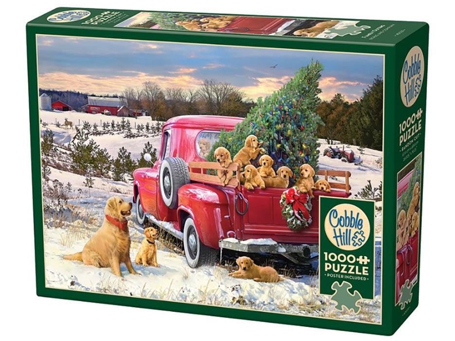 Cobble Hill 'Family Outing' Jigsaw Puzzle - 1000 Piece