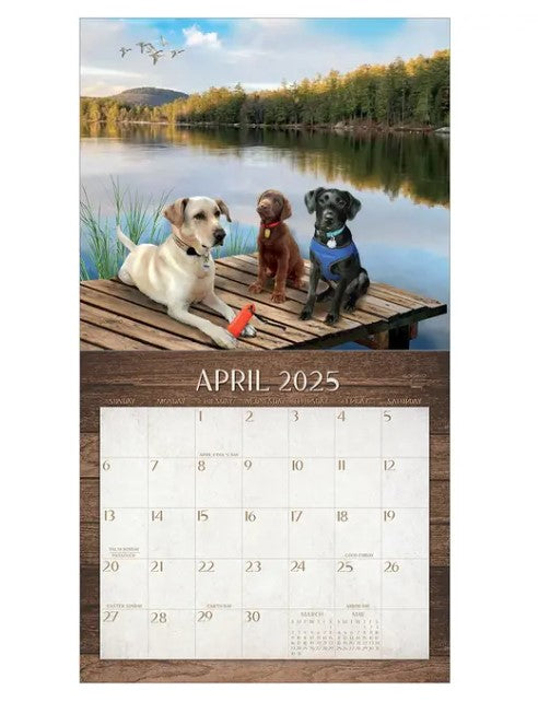 Calendar Legacy 2025 - Labradors