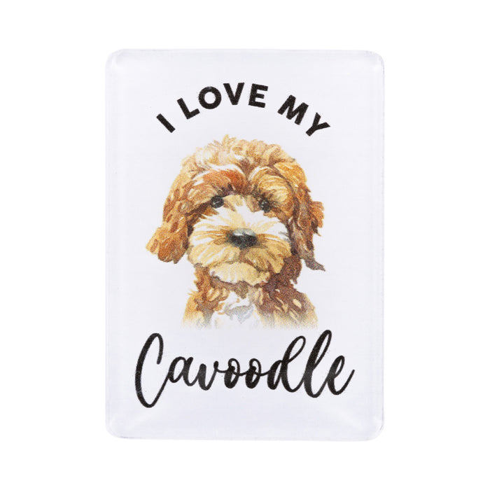 Pet Lovers Magnet - Asst Styles