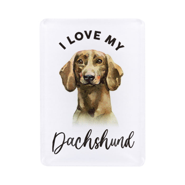 Pet Lovers Magnet - Asst Styles