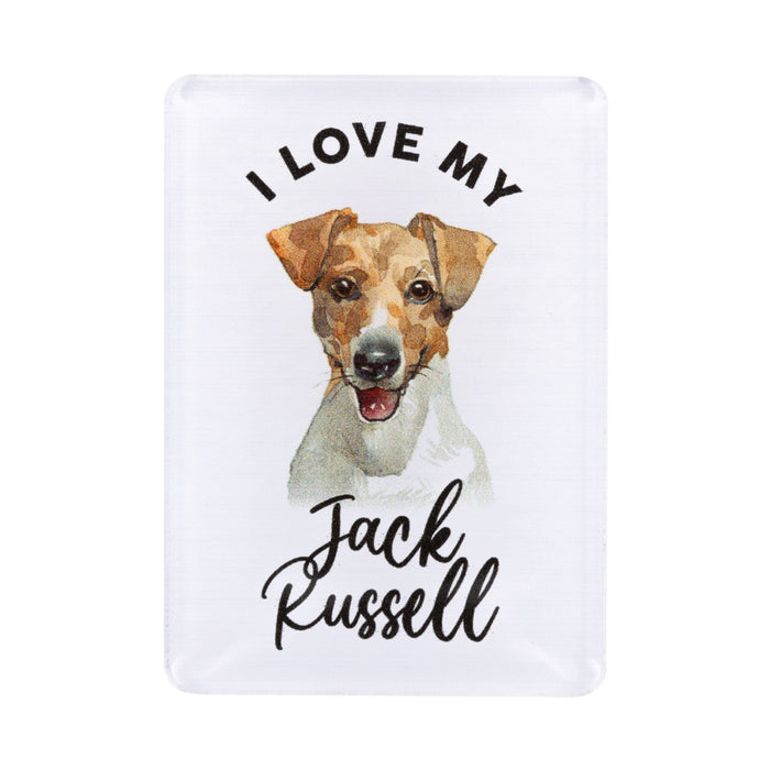 Pet Lovers Magnet - Asst Styles