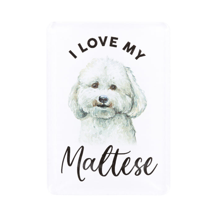 Pet Lovers Magnet - Asst Styles