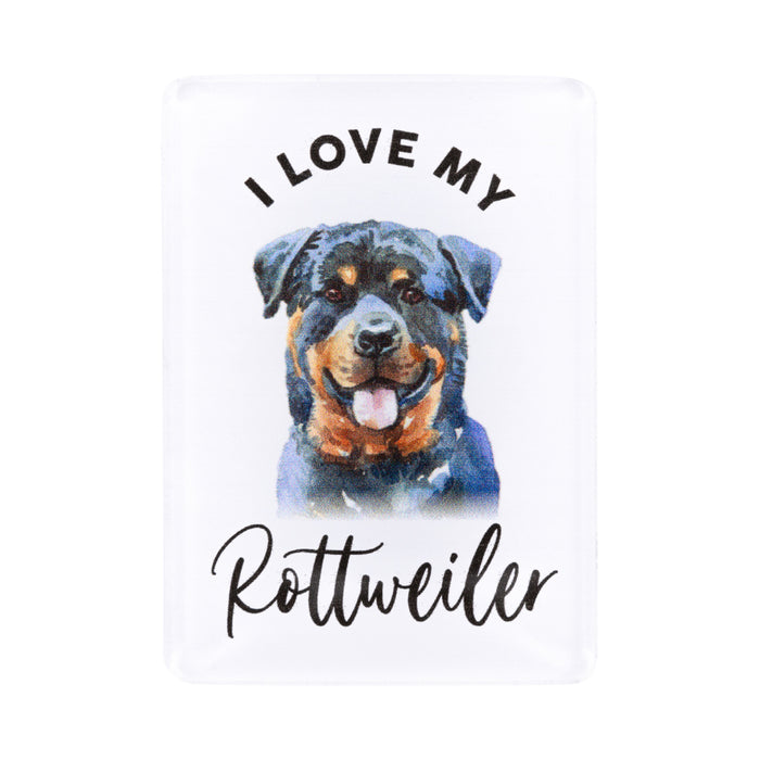 Pet Lovers Magnet - Asst Styles