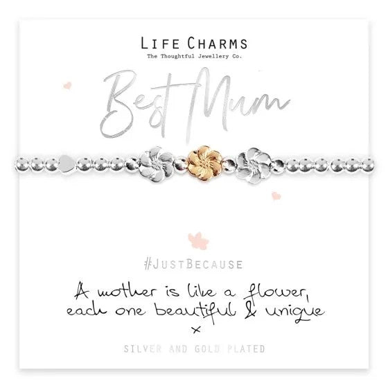 Life Charm Bracelets - Various